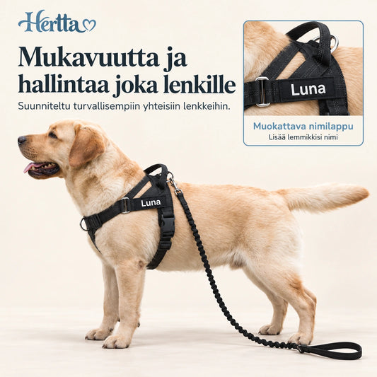 Heijastavat vedonestovaljaat koiralle